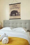 Lovely and new Studio Center of Paris