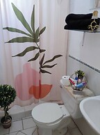 Mi Mejor Estancia Experience Authentic Mexican Charm