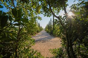 Villa Vallone Luxury With Pool