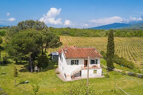 Relaxing Home Among the Tuscan Vineyards