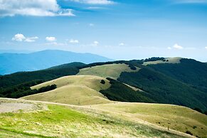 Relaxing Home Among the Tuscan Vineyards