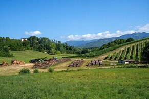 Relaxing Home Among the Tuscan Vineyards