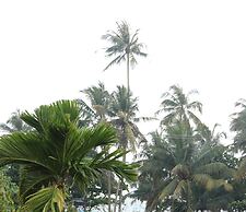The Villa Sea Breeze