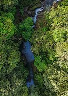 Ventanas en Corcovado