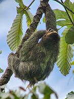 Ventanas en Corcovado