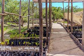 LOB LOB Beach Cabins