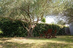 Apartments in Kozino/zadar Riviera 7951