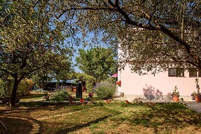 Apartments in Kozino/zadar Riviera 7951