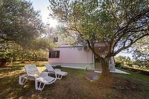 Apartments in Kozino/zadar Riviera 7951