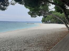 Modern and Bright Fazana Apartment With Balcony and Sea View