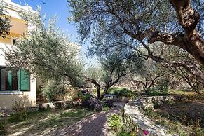 Villa Eleni in Pigianos Kampos