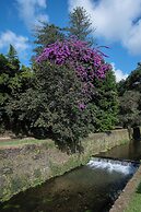 Canto's Green Garden & SPA