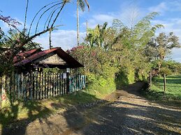 CABAÑAS EL PARAISO EN FILANDIA