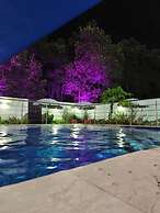 Hotel palmetto Beach