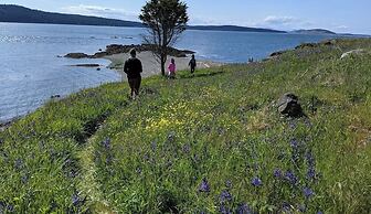 Deer Harbor Cottages