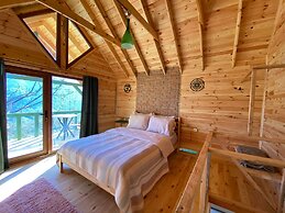 Elifin Gizli Bahçesi