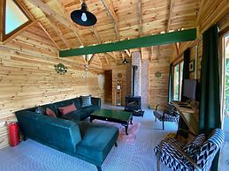 Elifin Gizli Bahçesi