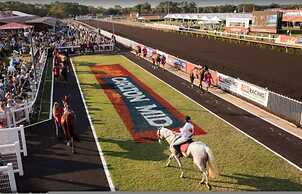 Cityside Hideaway Pool - Workstation - Markets