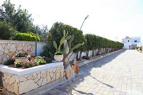 Quadri Pino Near The Sea 1