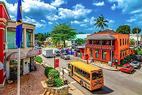 Turtle View by Bluescape