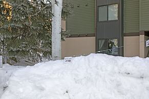 Snowlion Condos 208 2 Bedroom Condo