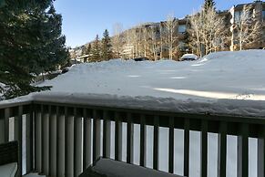 Snowlion Condos 208 2 Bedroom Condo