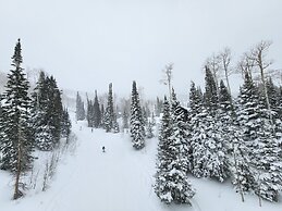 Villa 2057 1 Bed 1 Bath Full Kitchen 1 Bedroom Villa