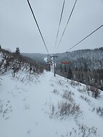 Villa 2057 1 Bed 1 Bath Full Kitchen 1 Bedroom Villa