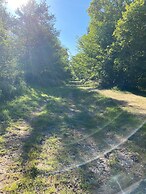 Paddock View - Snetterton, Norfolk