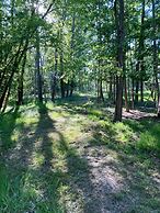 Paddock View - Snetterton, Norfolk