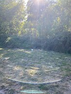 Paddock View - Snetterton, Norfolk