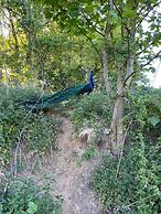 Paddock View - Snetterton, Norfolk