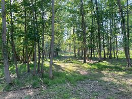 Paddock View - Snetterton, Norfolk