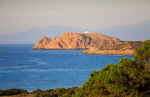 Villa Roc e Fiore in Corbara