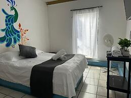 Hotel El Mexicano Tepic Centro