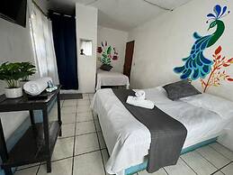 Hotel El Mexicano Tepic Centro