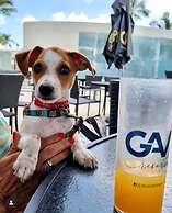 Salinas Exclusive Resort