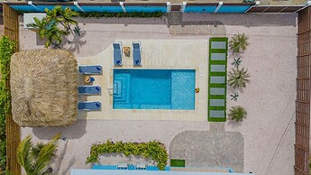 House of Joy Palapa Pool Near Eagle Beach