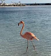 Oceanside Luxury The Cove Palm Beach 2BR 2 5BA