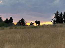 Grassy Mountain Ranch