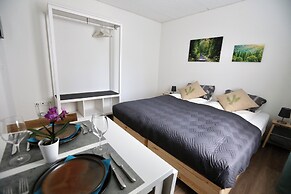 ALP APARTMENTS with self check-in
