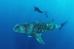 Sunset Villa - Karula Sand Villas