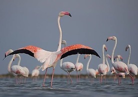 Sunset Villa - Karula Sand Villas