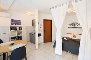 Apartments Pjescana Uvala/istrien 11044