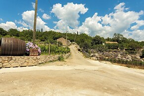 Konavle Apartments Zlatovisce 3