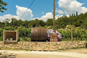 Konavle Apartments Zlatovisce 3