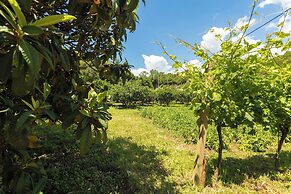 Konavle Apartments Zlatovisce 3