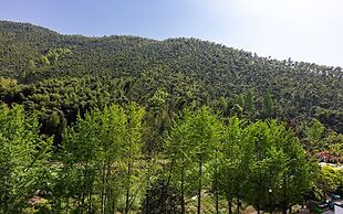 Ruyuan Xiaomanli Homestay