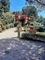 Two-room Apartment With Parking Space