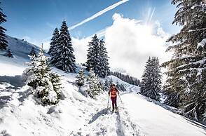 Chalet Ours Brun ORB Mountain & Quiet 6 Pers